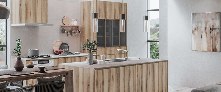 經過進化的設計