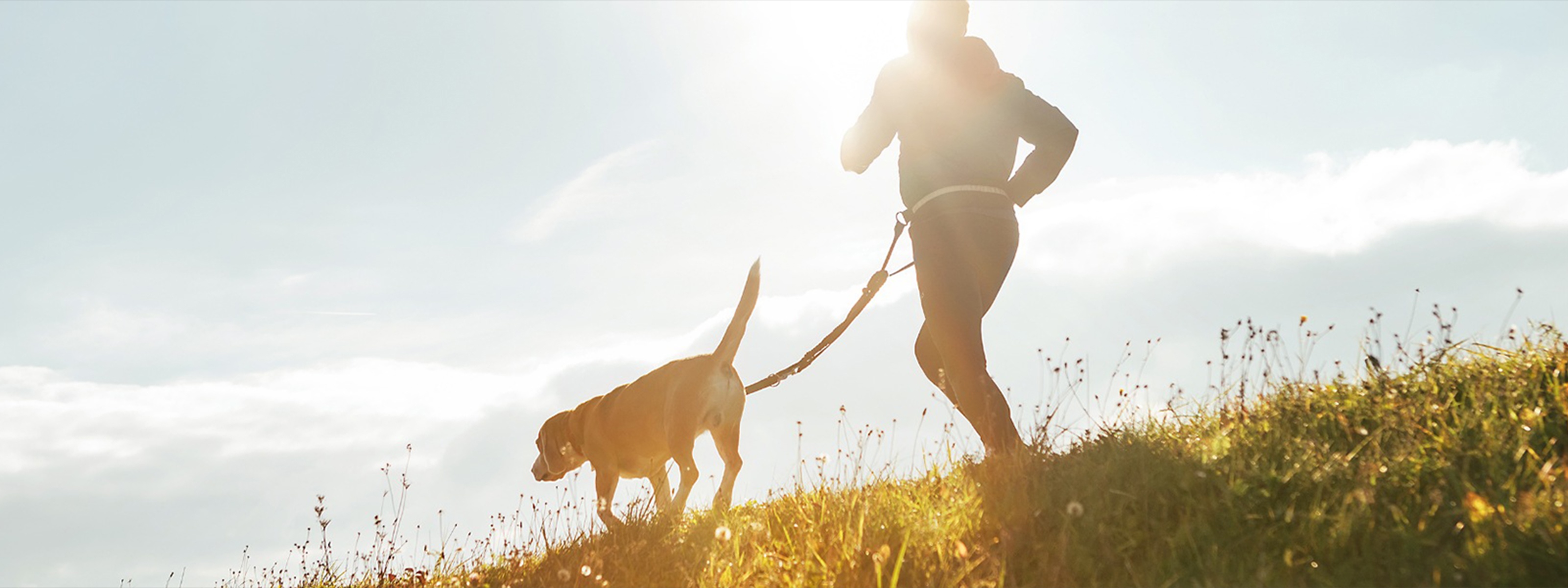 洗面化妝櫃 ELEENA